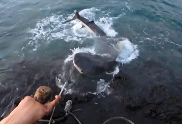 ��������������Ű������Ƶ����ŭ