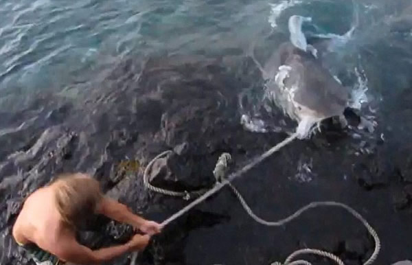 ��������������Ű������Ƶ����ŭ