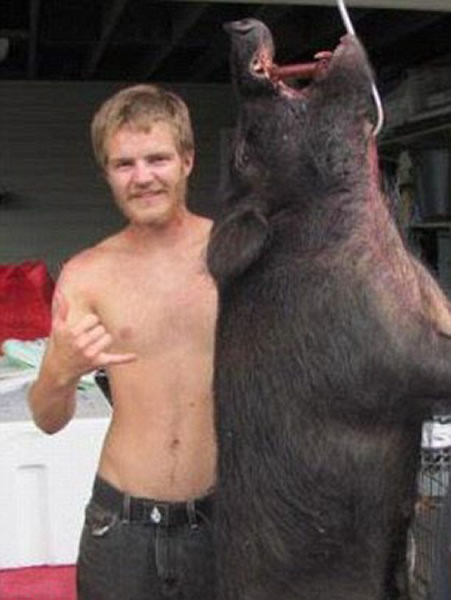 ��������������Ű������Ƶ����ŭ