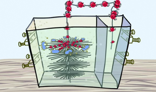 ΢�����شӷ�ˮ�л�ȡ����