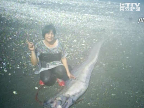 ̨��̨�����ﺣ�򲶻����ϻʴ��㡱