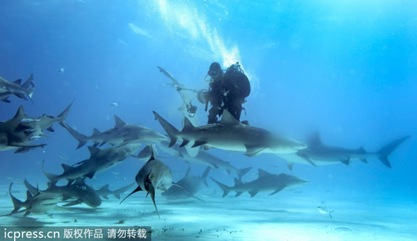 �������������