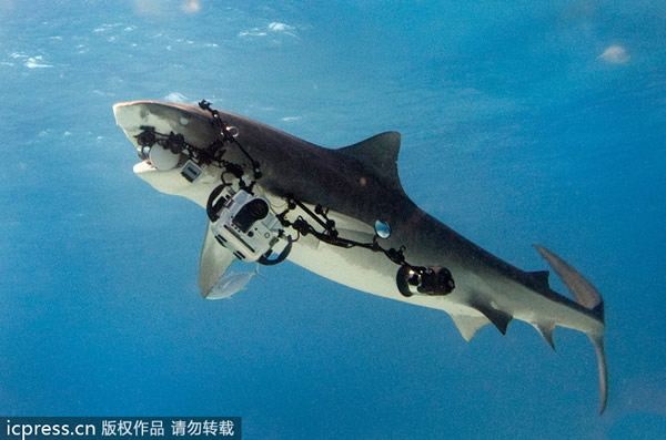 �������������