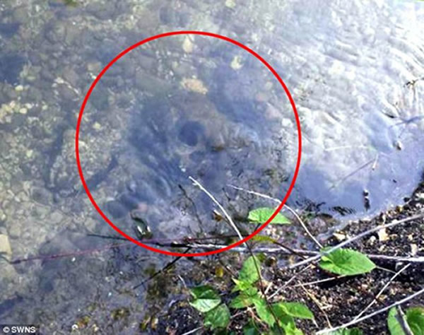 ��Ӣ������˹�ؿ���һ�������з��ֵ�ͷ�Ǳ�ȷ������һ��һǧ����ǰ�ķ���Ů��