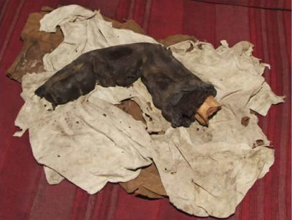 埃及探险发现神秘“巨人手指”