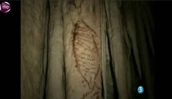 ���ִ���ڱ���ʱ�ڵ��ᰲ�������������������ż�