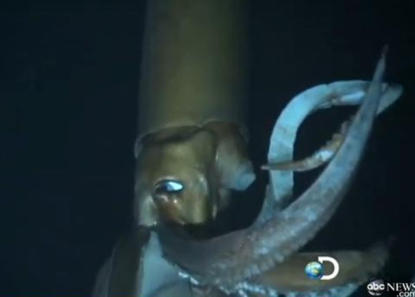 ��о��������������ʹ���������ֳ����������