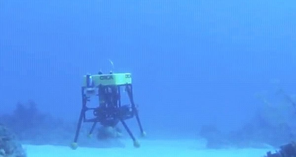 深海“大王具足虫”攻击人类观测站