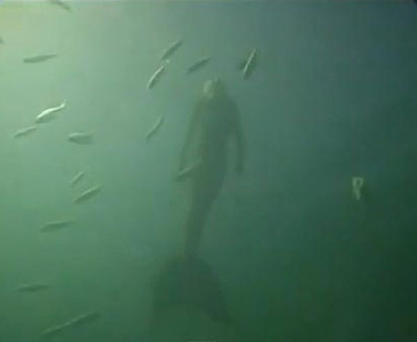 澳洲大堡礁潜水拍摄到美人鱼?