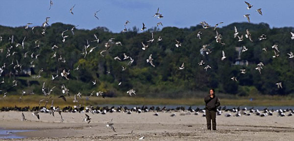 ������ѧ���ô�����������ʵʩ����