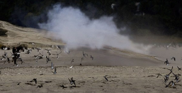 ������ѧ���ô�����������ʵʩ����