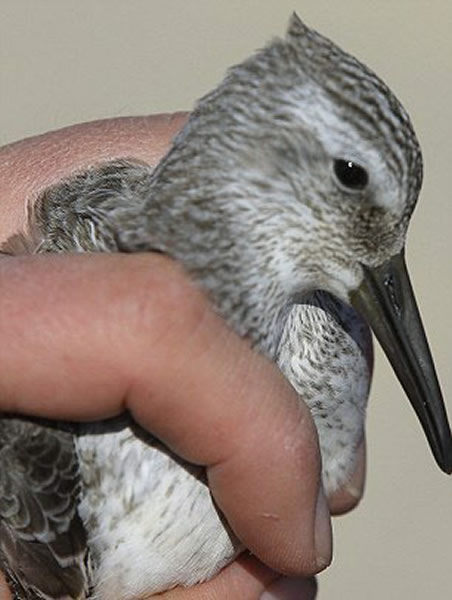 ������ѧ���ô�����������ʵʩ����