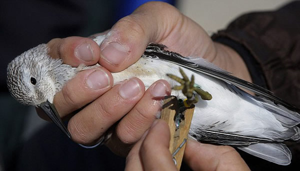 ������ѧ���ô�����������ʵʩ����