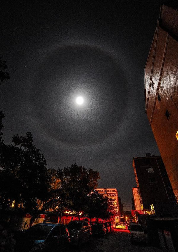 ����ʡ�������Ͽճ�������