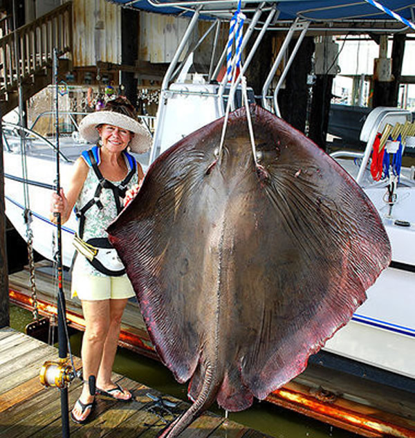 ������̫̫����84����������