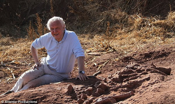 阿滕伯勒首次来到中国云南陆丰恐龙国家地质公园进行勘测研究,该研究有助于填补脊椎动物进化缺失环节,以及脊椎动物如何统治地球,逐渐进化形成人类身体