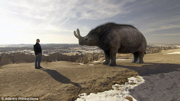 他在全球范围内搜寻奇特的哺乳动物和超大体型的巨型动物,例如:巨犀兽