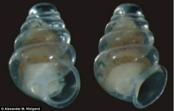 ѧڿ޵Ѩзһӵ͸ǵţǸǰ·Ϊֻںڰ¶Ѩ涴