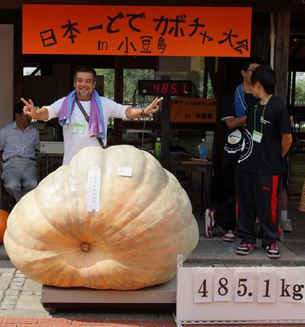 获胜的上野贡司和他培育的南瓜