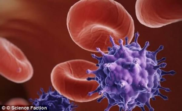 科学家认为,桦褐孔菌蘑菇对于治疗流行性感冒、天花和艾滋病十分有效