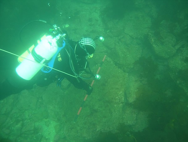 北海发现“英国版的亚特兰蒂斯”