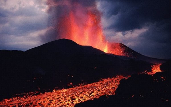 ��ѧ�ҷ����緢�������Խ���ֱ���ĸ���ֲ����䡱�����ٹ���֮��