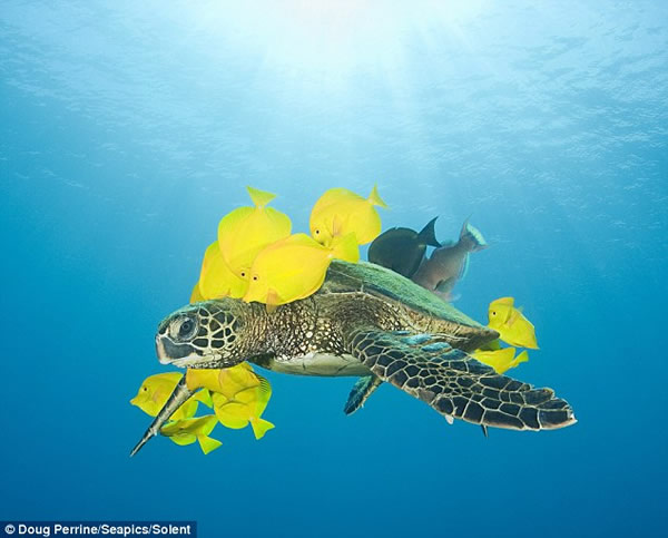 �Ҹ�����ÿ�������ȴ���Ⱥ��æϴ��