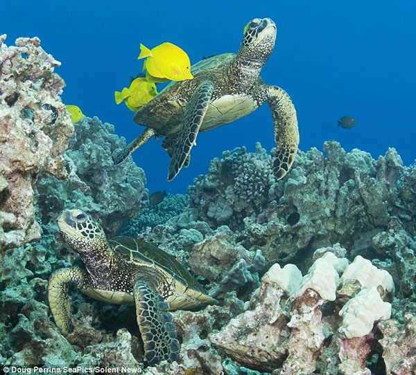 �Ҹ�����ÿ�������ȴ���Ⱥ��æϴ��