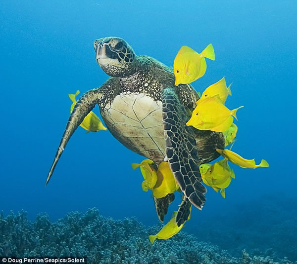 �Ҹ�����ÿ�������ȴ���Ⱥ��æϴ��