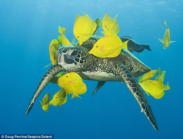 �Ҹ�����ÿ�������ȴ���Ⱥ��æϴ��