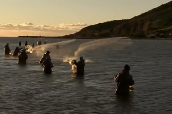 有了海豚的提醒,渔民算准时机撒网。