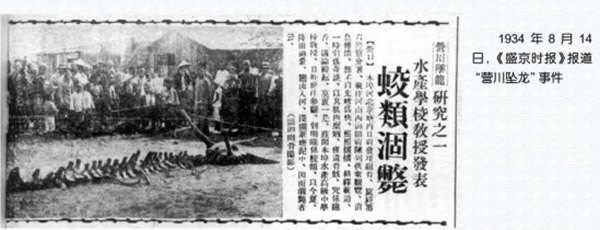 1934年,辽宁省营口市也曾经发生「坠龙」事件