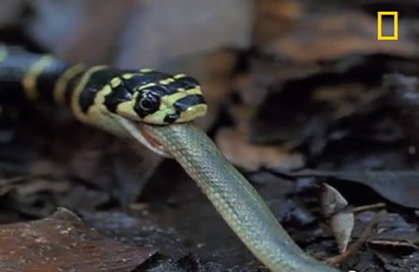 һ�ܴ���۾������״γ�����ɱһ��ˮ��