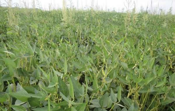 ���ݼ��������������������