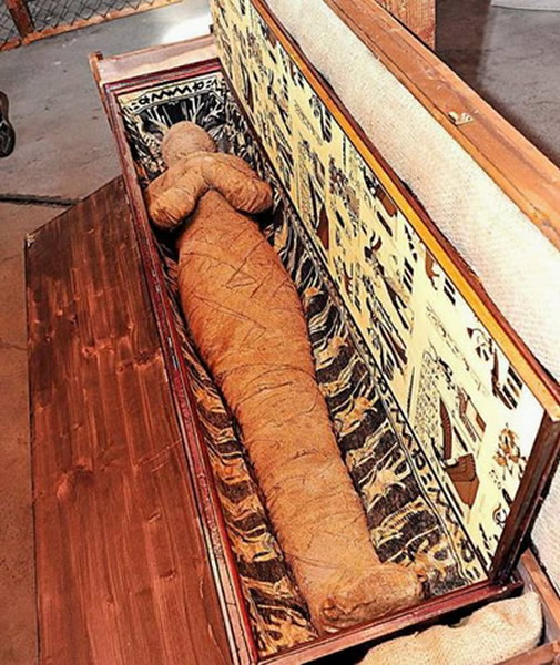 德国家庭楼阁中发现“拼接板”古埃及法老的木乃伊