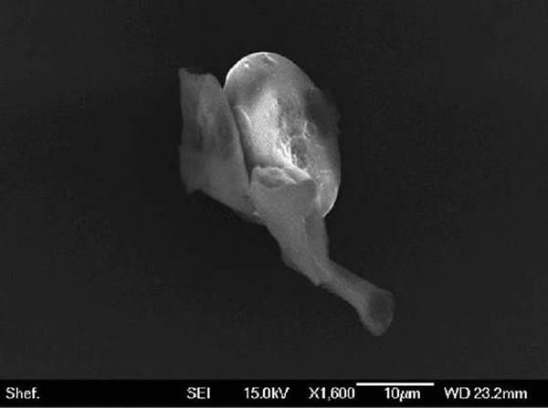 ������һ��������մ𰸻���������Ҫ�������һ�����о�������չ֮����ܱ��ҿ�