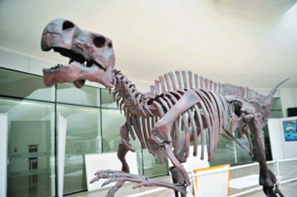 ����Խ٪�޼͡�����չ�����ڹ㶫��ѧ���Ŀ�չ