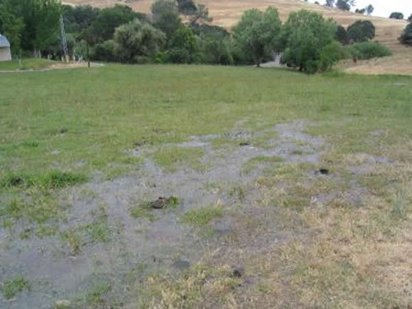 ��������Ĺ���