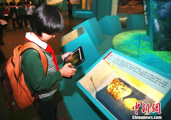 《浙江大地十亿年》展览中的岩石标本