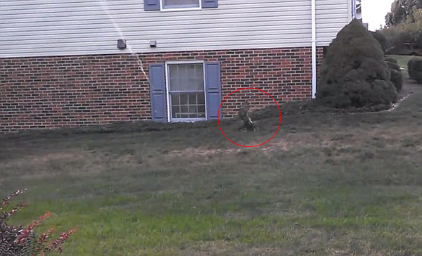 ������������СҰ�øշ���˲��ͱ���ӥ�������