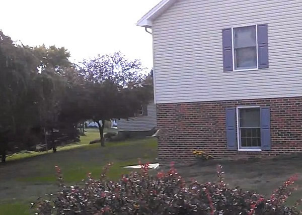 ������������СҰ�øշ���˲��ͱ���ӥ�������