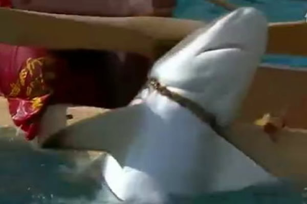 �Ͳ����¼�����ԭס��ͽ�ֲ�����