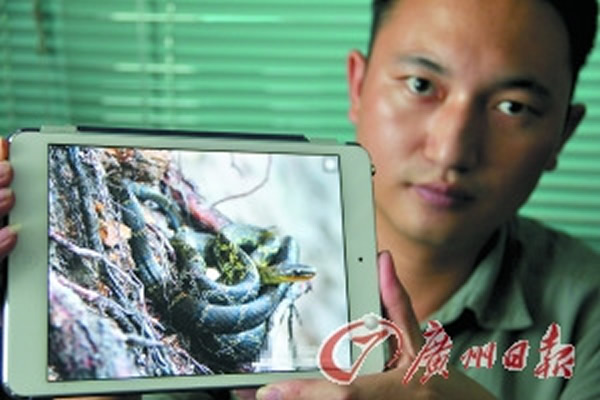 李成首次在中国境内发现坎氏曙蛇震惊学界