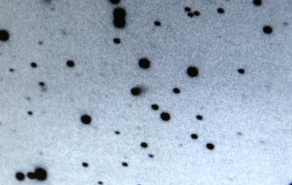 C/2012S1����