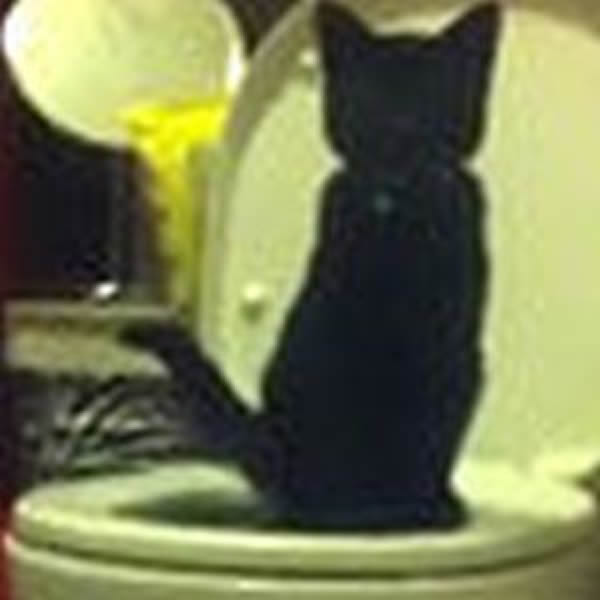 һèӽ̻СèʹüĳˮͰ