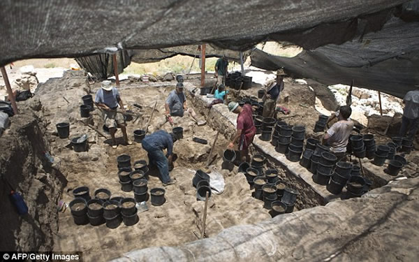 ��ɫ�о�Ȼ�����Ű��������Ͽ����Ĳ���ʨ��������