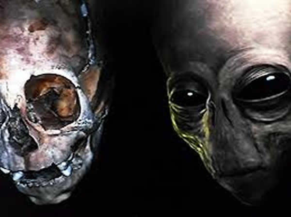 秘鲁出现神秘大头小身骨骸,人类学家表示可能是外星人