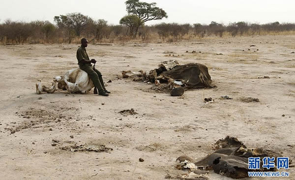 9��30�գ��ڽ�Ͳ�Τ��������������ҹ�԰��һ��Ѳ��Ա���ڴ����ź��ϡ�