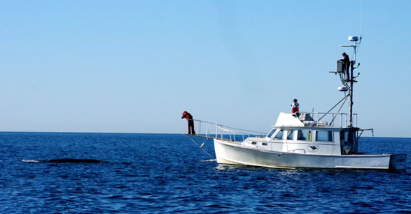 ���ô󺣰���ͷ��Ծ���������ͬ������