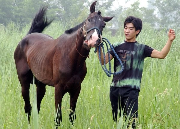 土库曼斯坦赠送中国的“汗血宝马”阿赫达什